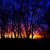 Allgemeine Bilder